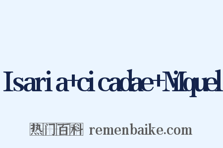 Isaria+cicadae+Miquel是什么意思的图片